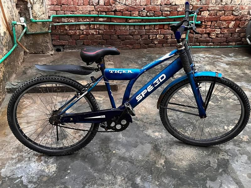 zaberdast cycle 2