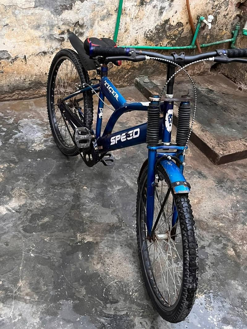 zaberdast cycle 3