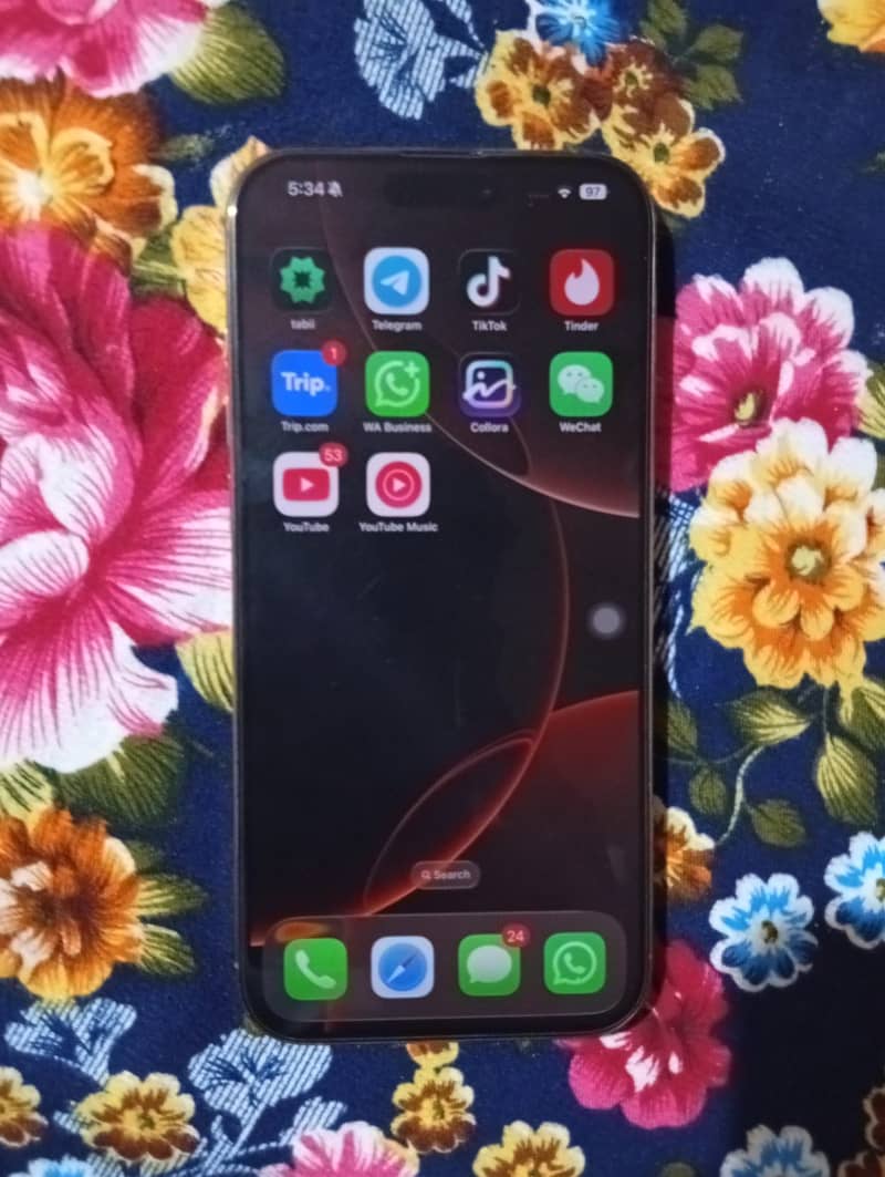 Apple iPhone 16 Pro Max 1