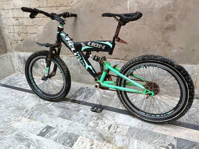HELUX Lion Cycle