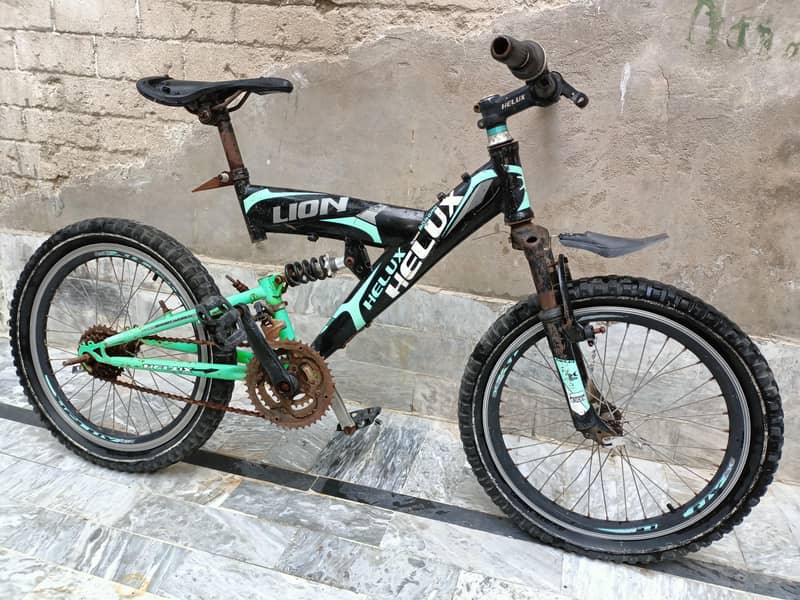 HELUX Lion Cycle 1