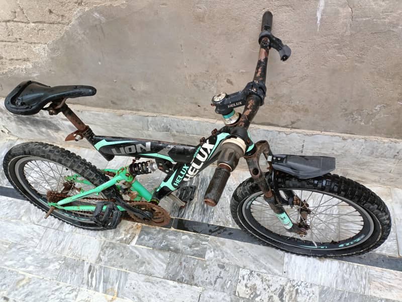 HELUX Lion Cycle 2