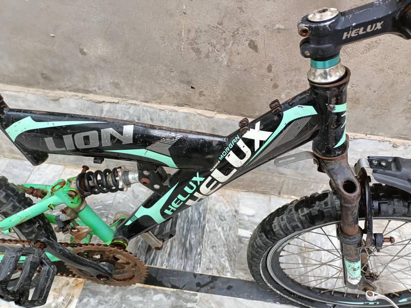 HELUX Lion Cycle 3