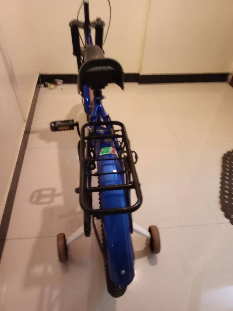 Bicycle 1