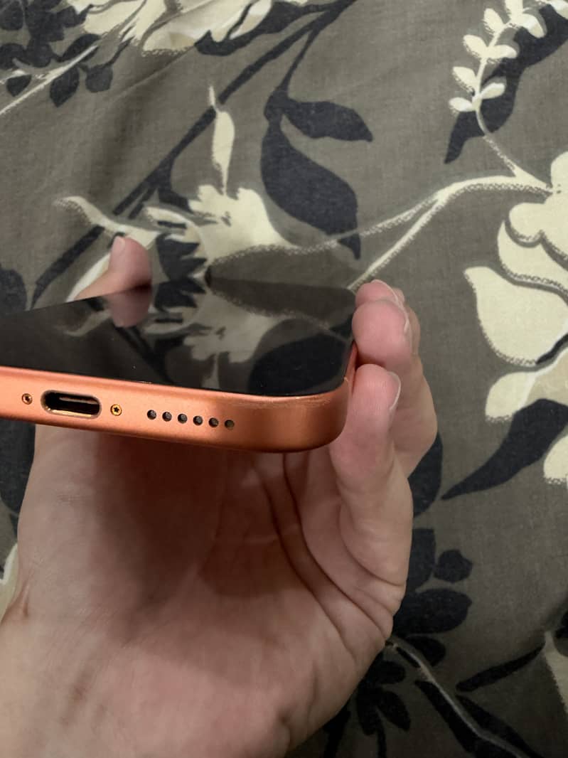 Apple iPhone 17 Pro Max 4