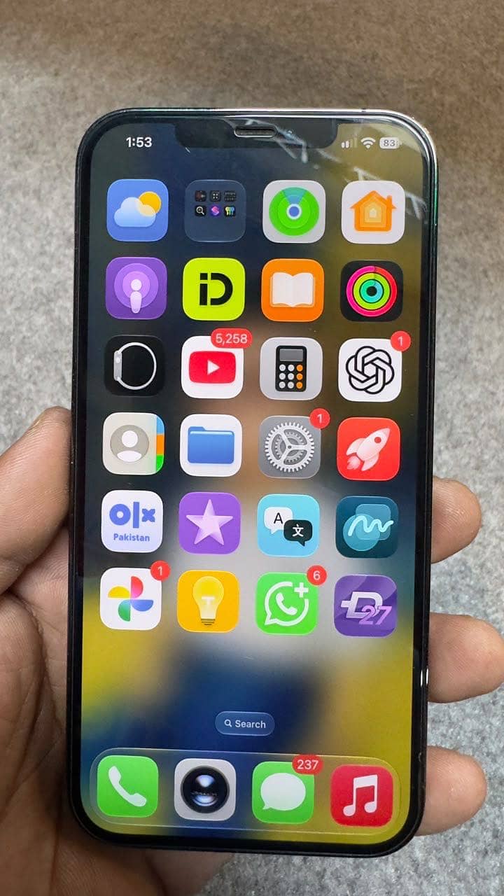 Apple iPhone 12 Pro Max 5