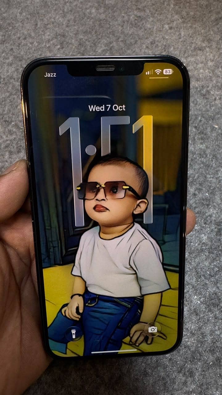 Apple iPhone 12 Pro Max 9