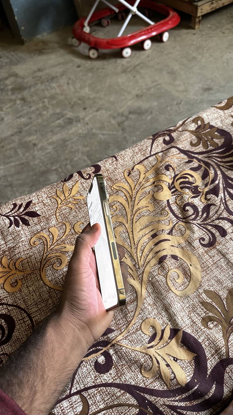 Apple iPhone 13 Pro Max 3