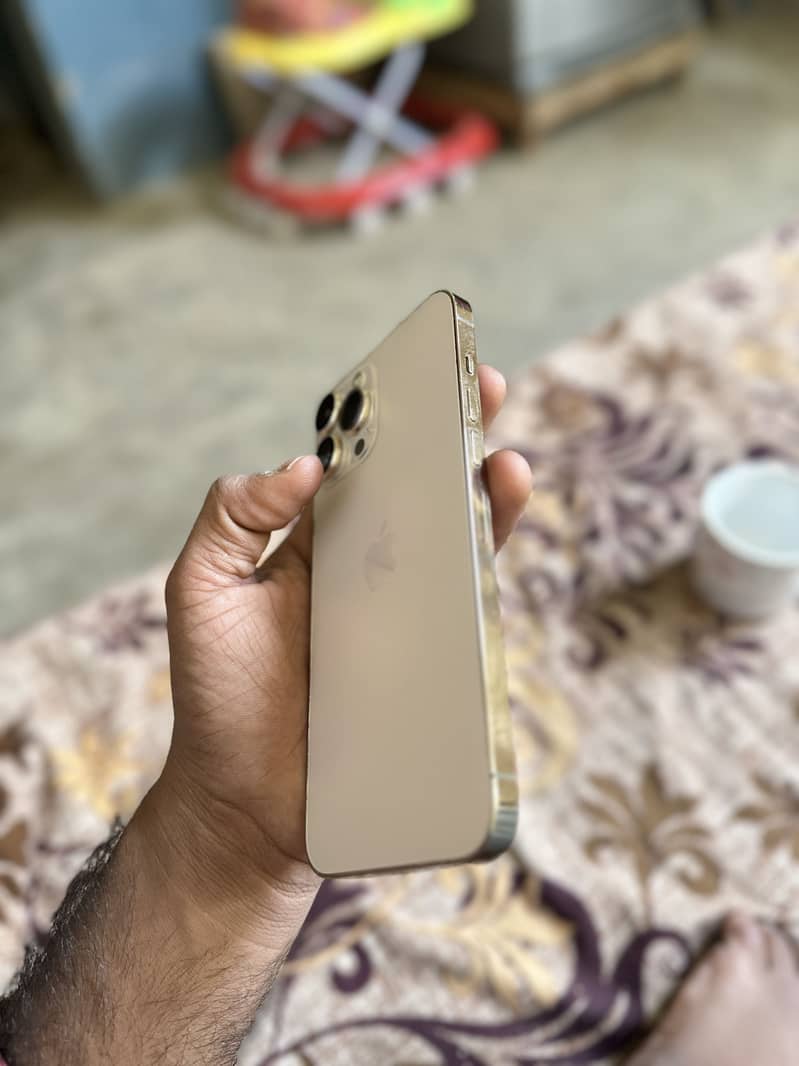 Apple iPhone 13 Pro Max 4