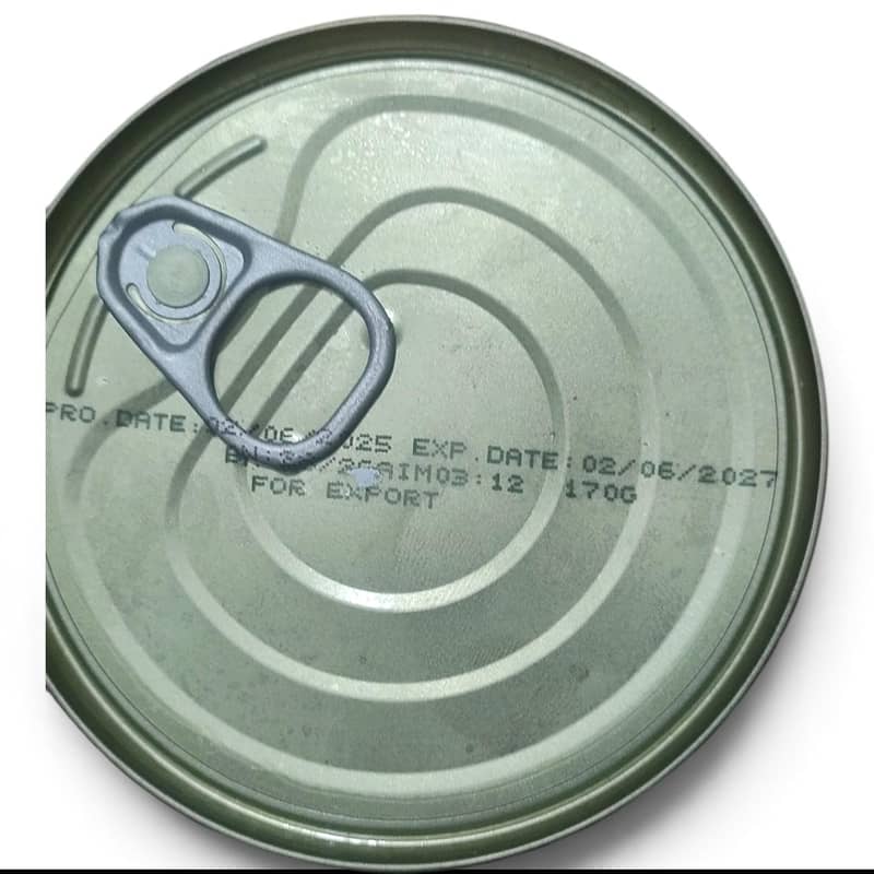 Tuna Fish 1