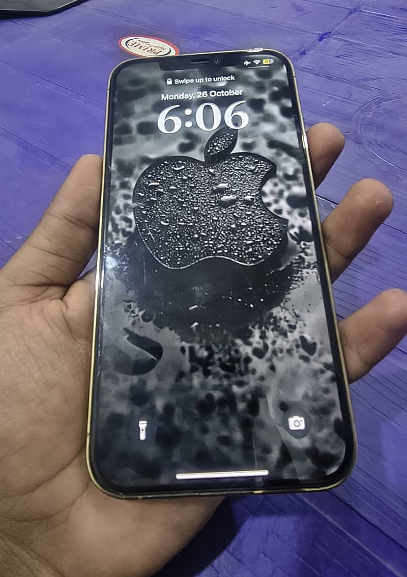 Apple iPhone 12 Pro Max 0