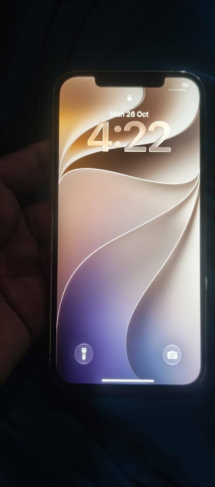 Apple iPhone 12 Pro Max 1