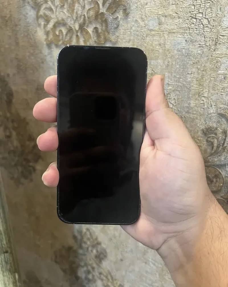 Apple iPhone 13 Pro 2