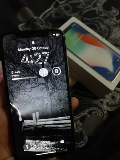 Apple iPhone X