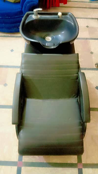 Professional hair wash unit