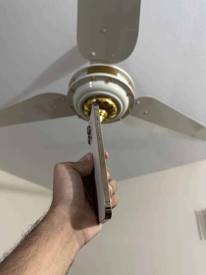 Apple iPhone 14 Pro Max 1