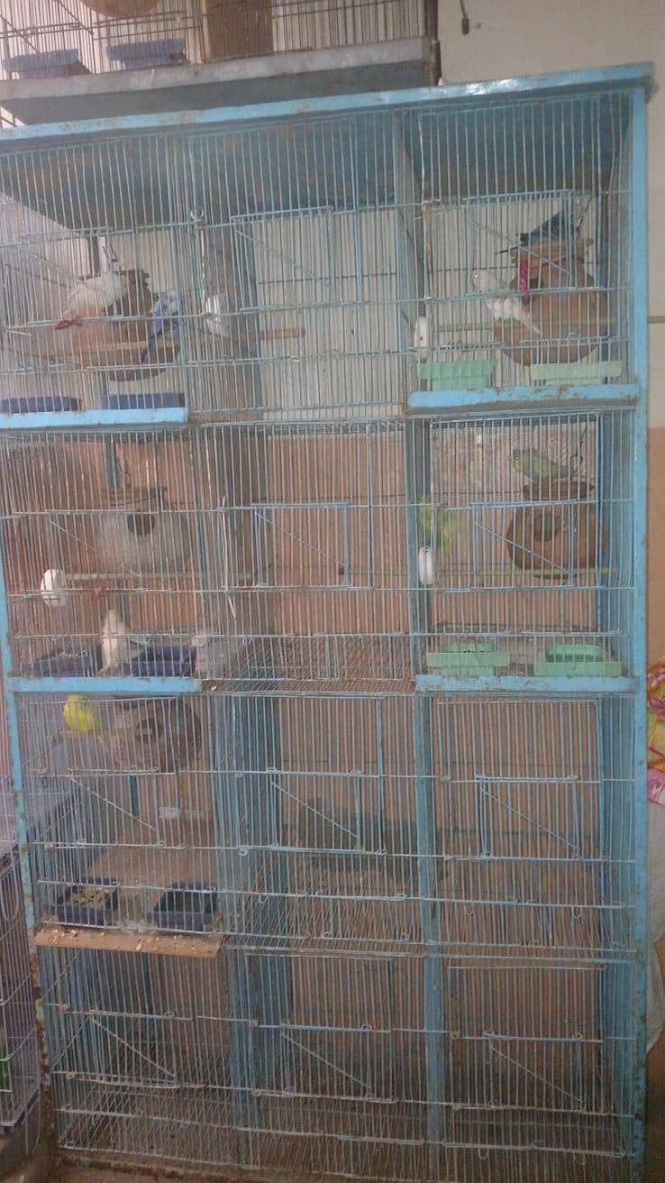 12 portion cages 0