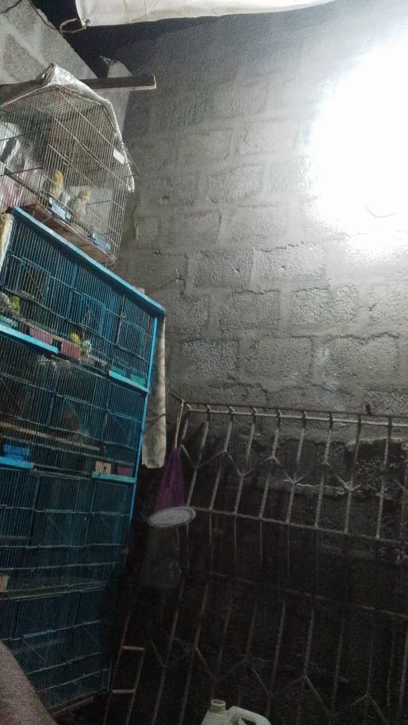 12 portion cages 1
