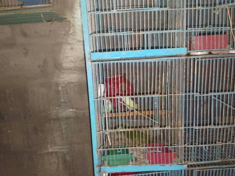 12 portion cages 2