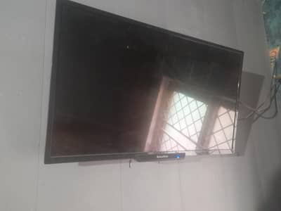 led eco star