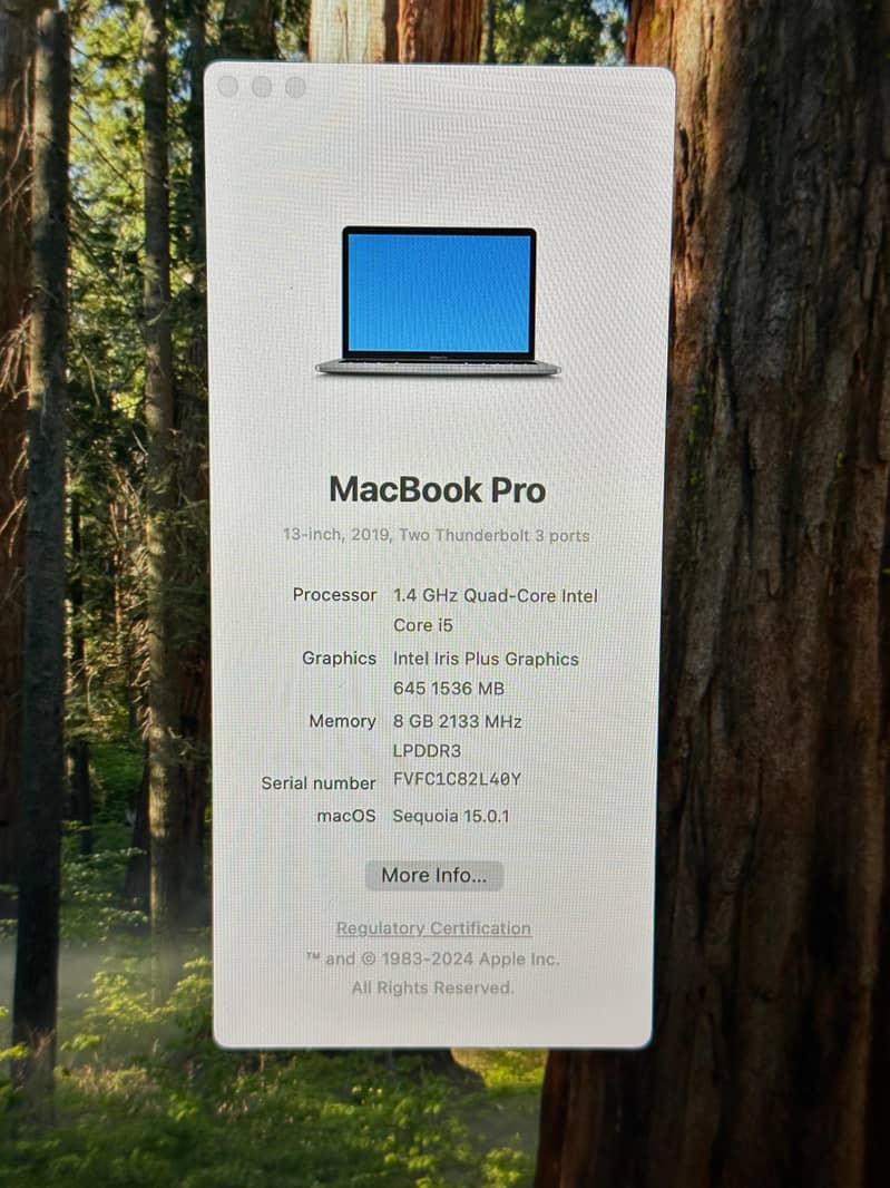 Macbook pro 2019 4