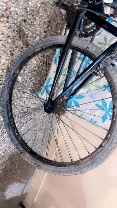 Cycle !