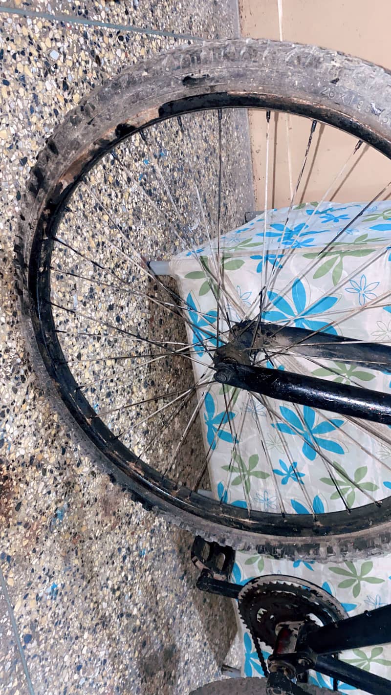 Cycle ! 3
