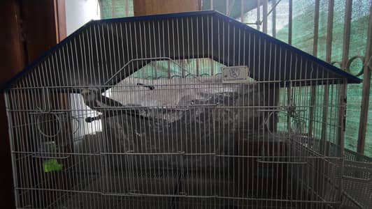 5 Compartment Cage for sale