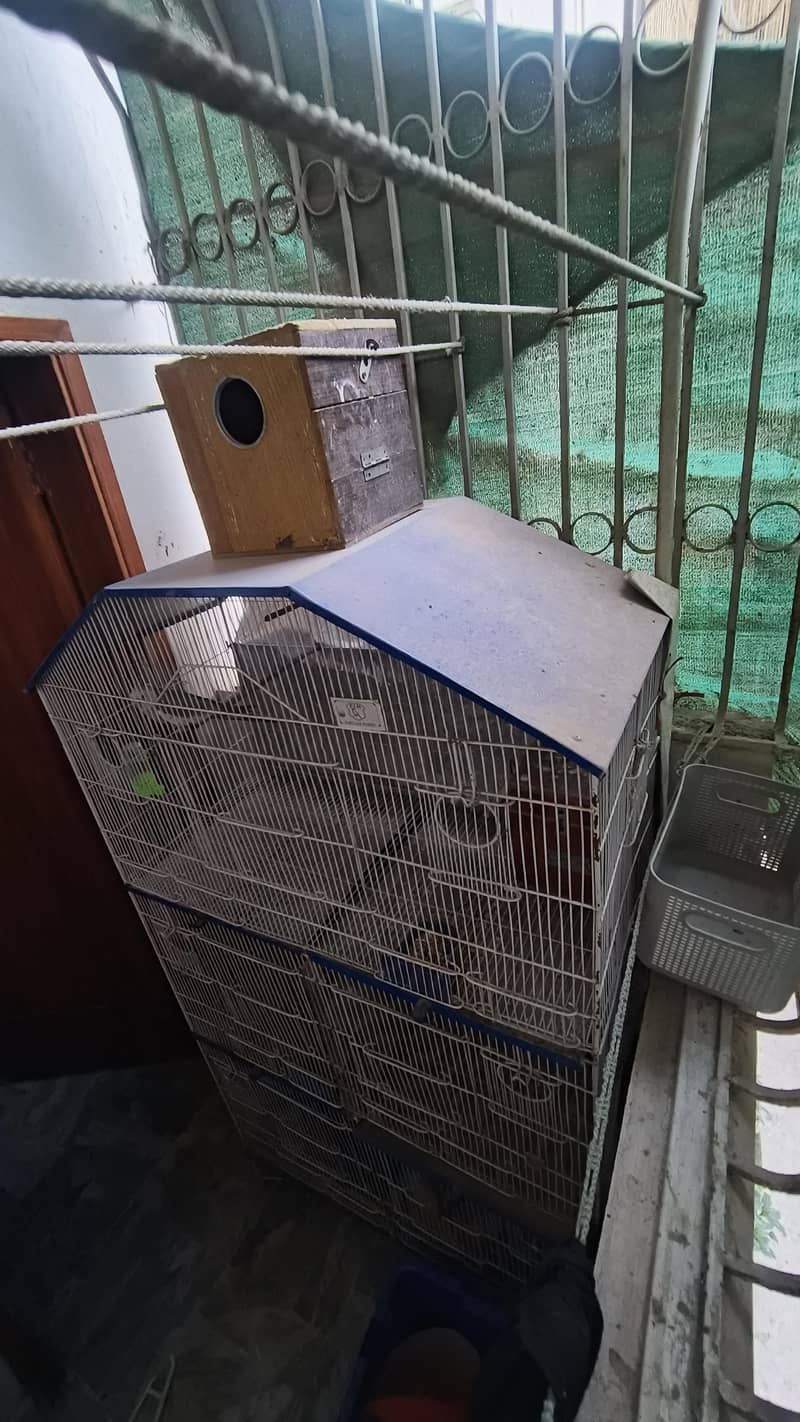 Large Multi-Level Bird Cage - For Sale - Cages, Crates & Doors - 1120904830