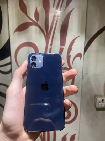 iPhone 12 Factory Unlock