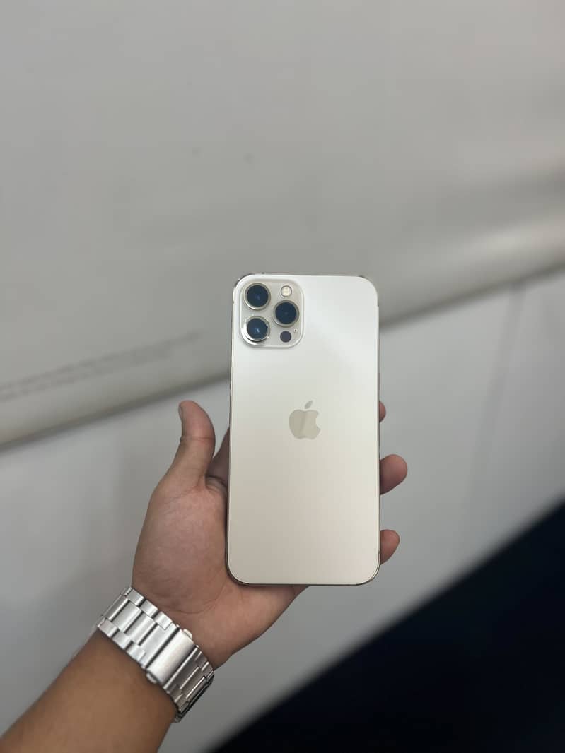 Apple iPhone 12 Pro Max 2