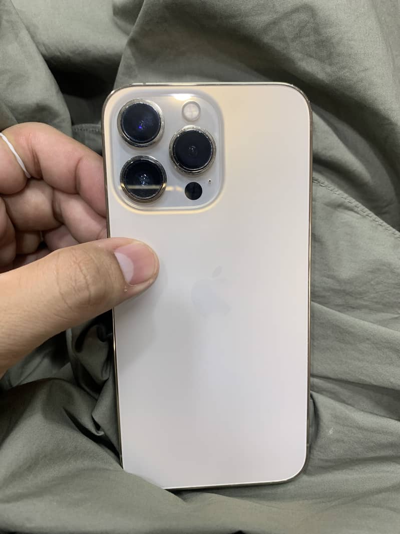 Apple iPhone 13 Pr0 2