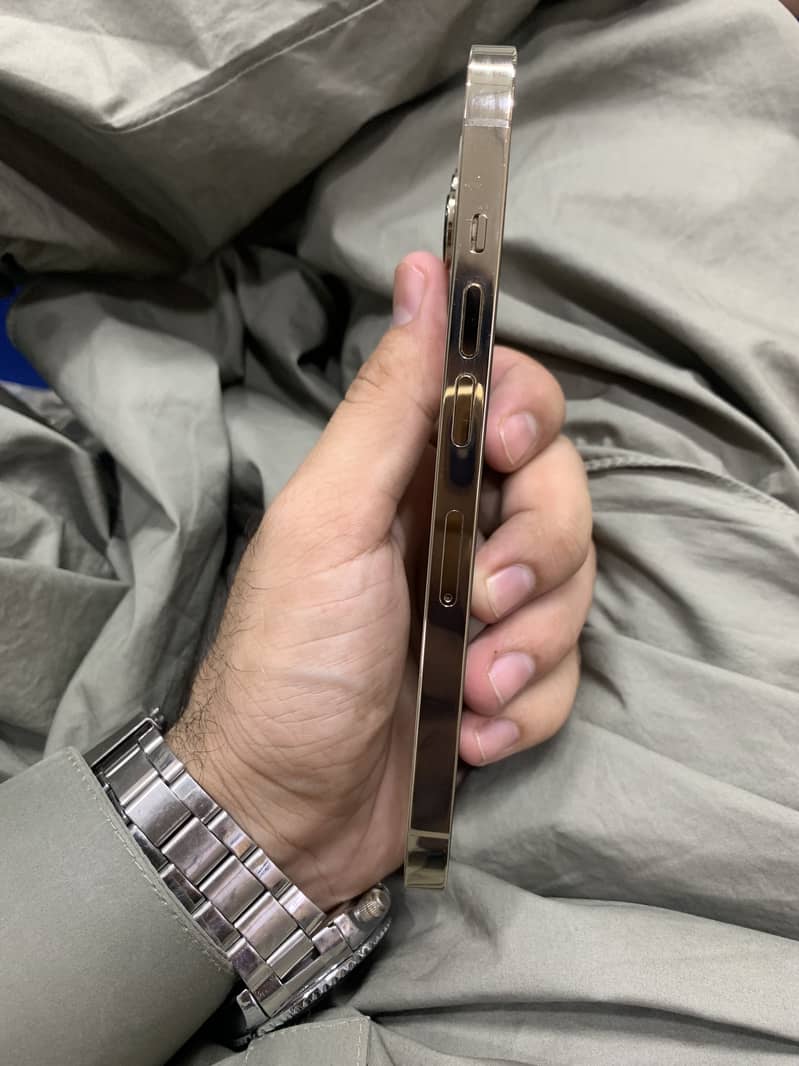 Apple iPhone 13 Pr0 4