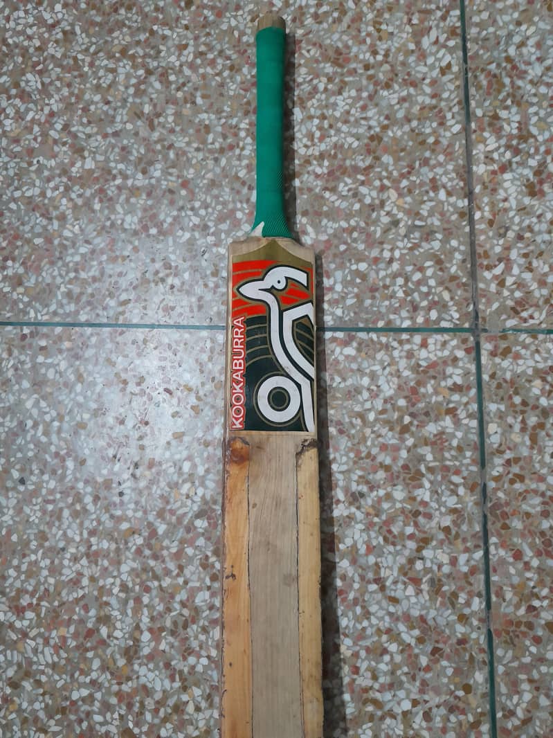 cricket kit 2