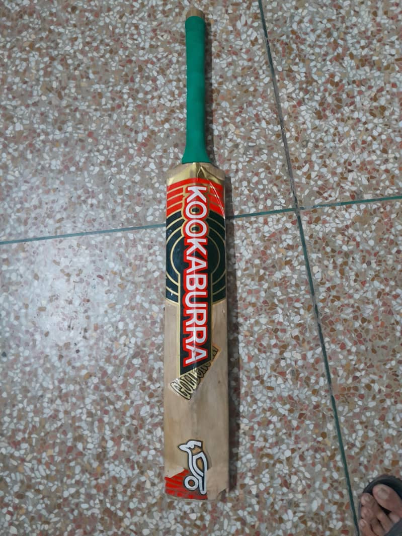 cricket kit 3