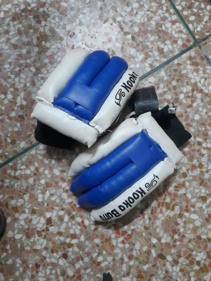 cricket kit 5