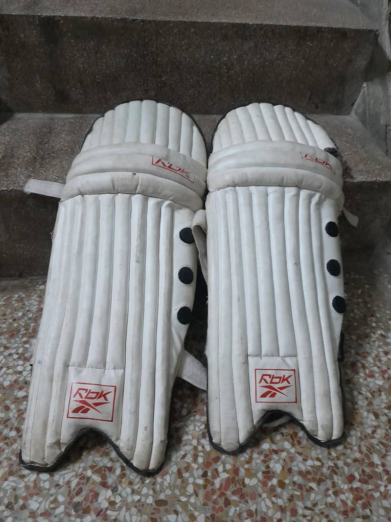 cricket kit 12