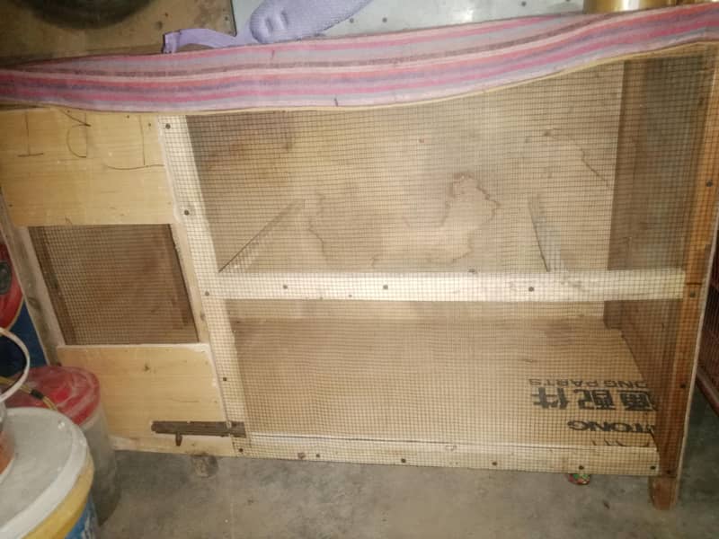New Cage 1