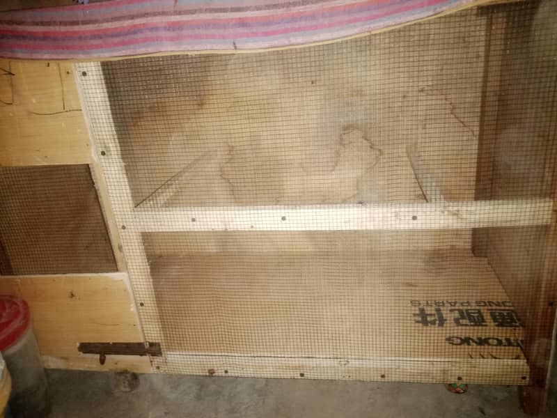 New Cage 2