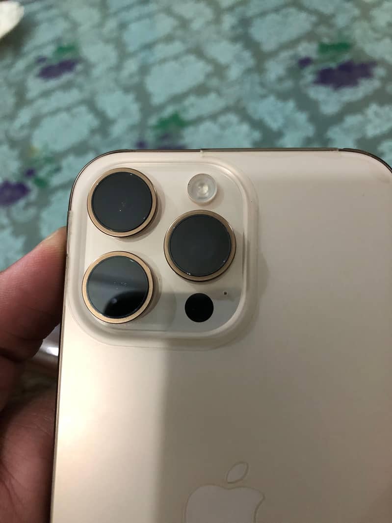 Apple iPhone 16 Pro Max 1