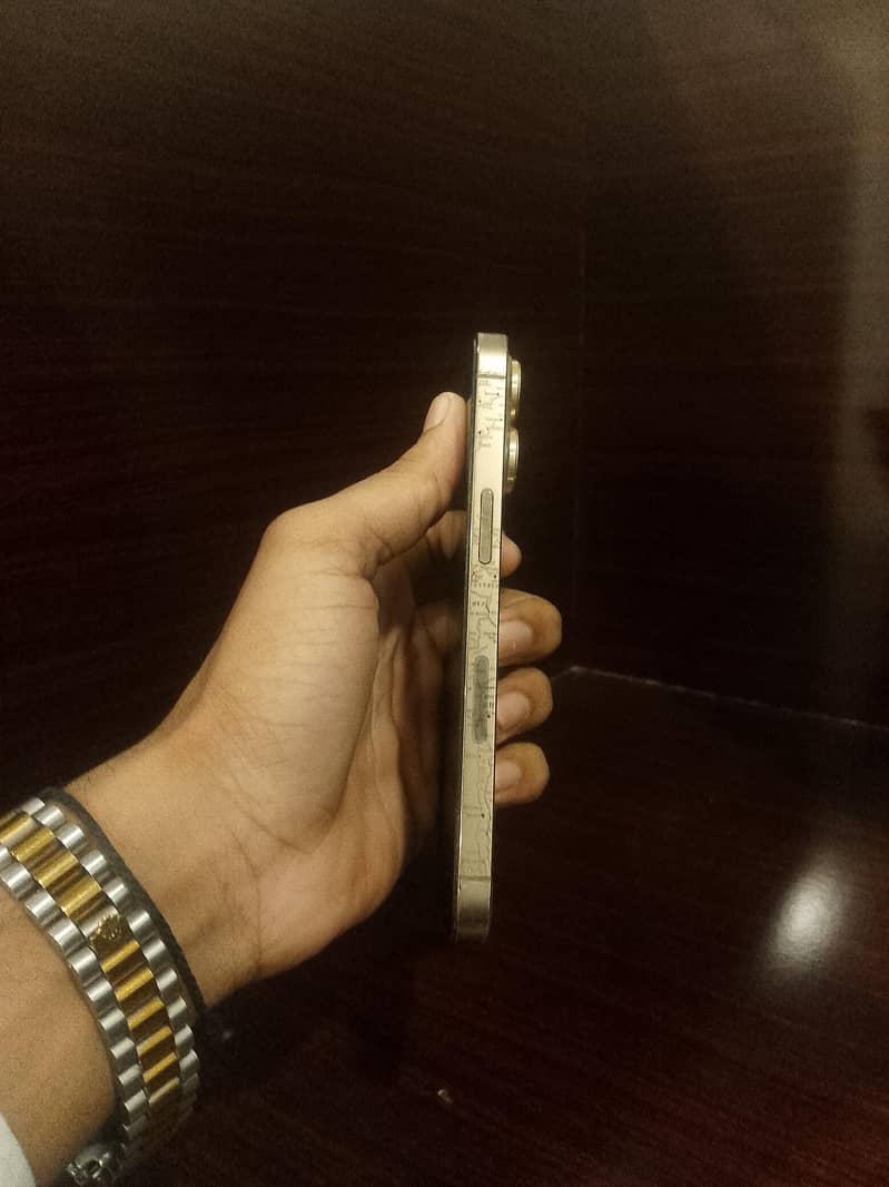 Apple iPhone 13 Pro 1