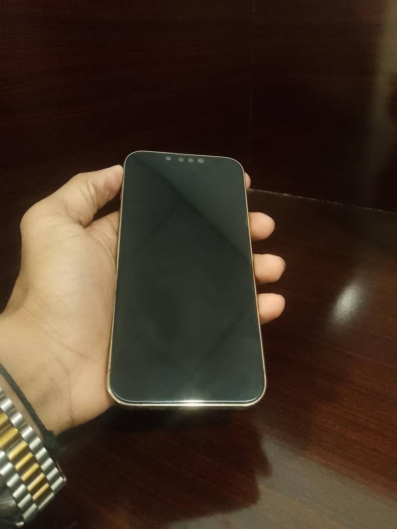 Apple iPhone 13 Pro 2