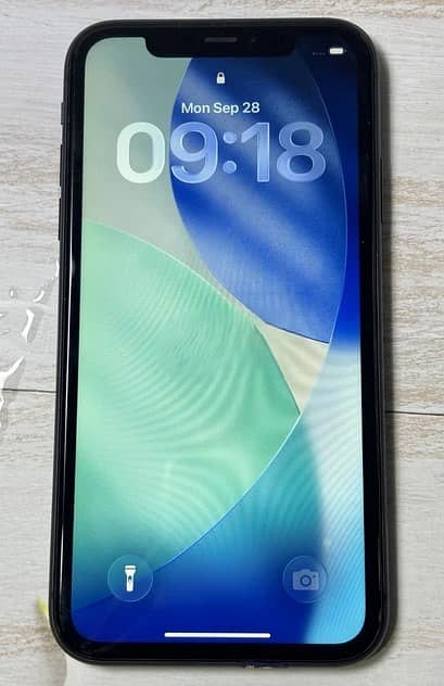 Apple iPhone 11 1