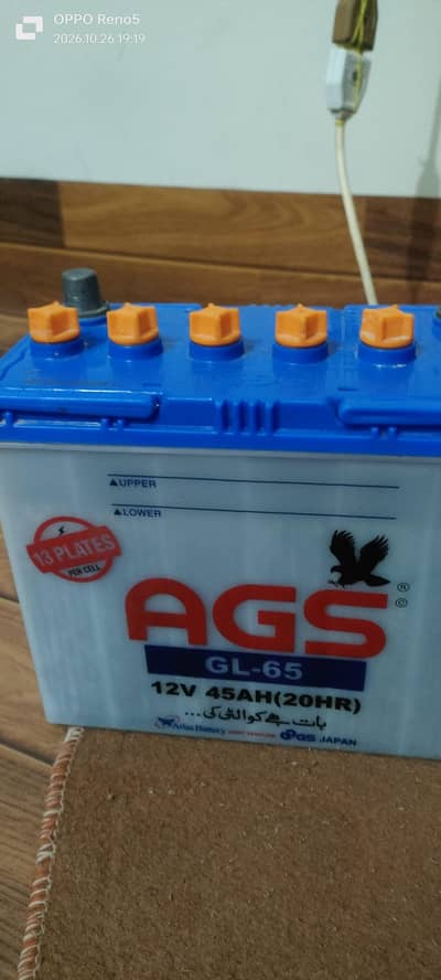 AGS 13 plate battery