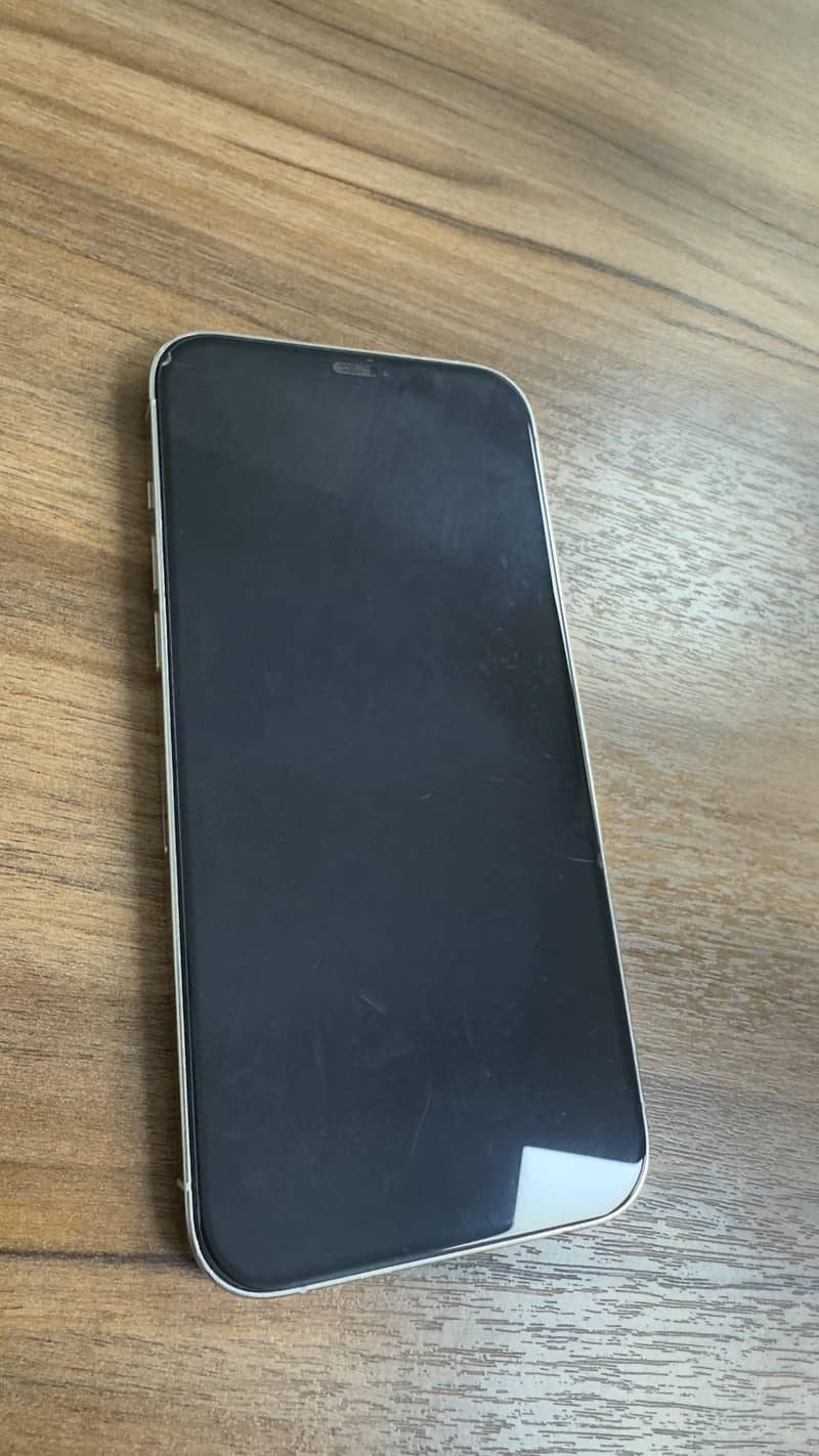 Apple iPhone 12 Pro Max 1
