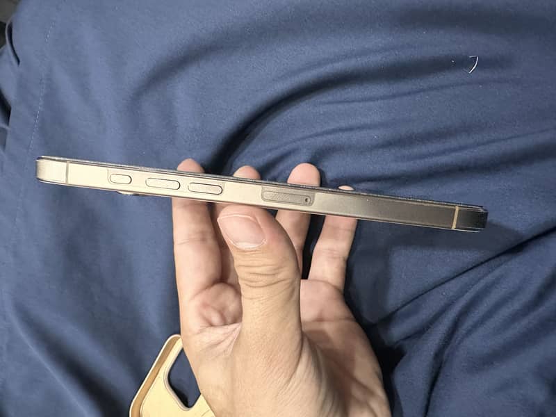 Apple iPhone 16 Pro Max 2