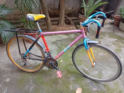 racing cycle with two handles