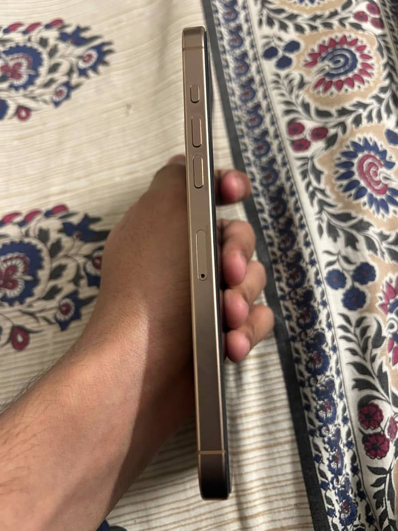 Apple iPhone 16 Pro Max 4