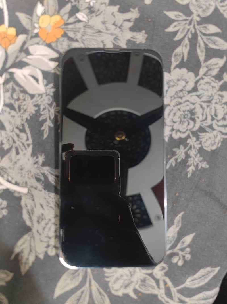 iPhone 13 Pro Max 0