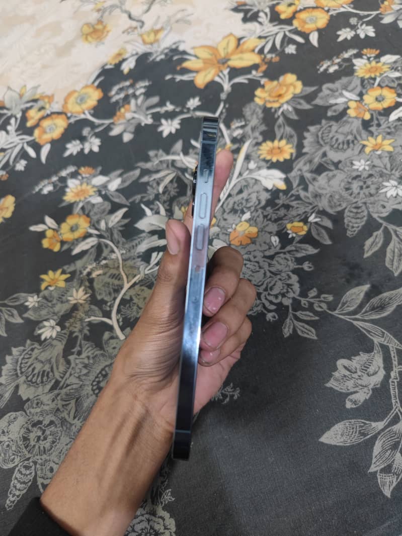 iPhone 13 Pro Max 6
